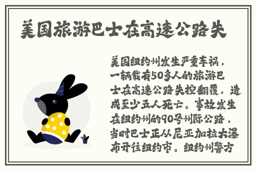 国产乱国产乱300精品